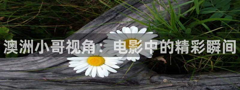 午夜电影app