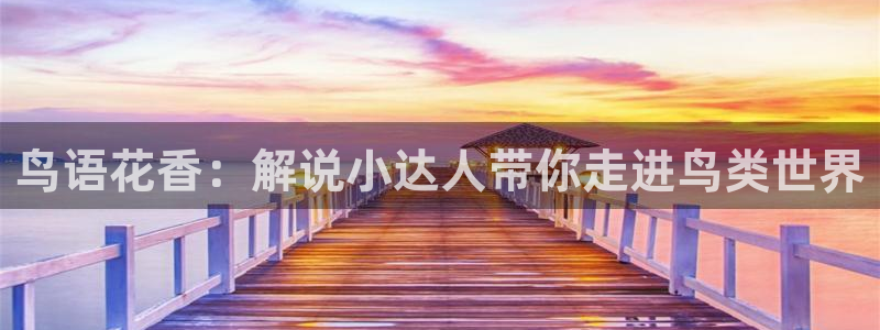 95午夜电影