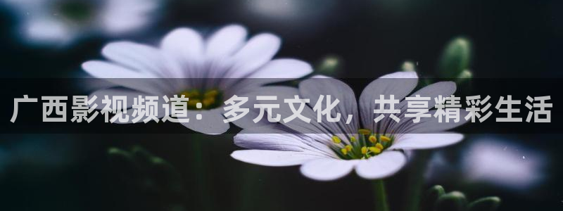 秋霞午夜在线影院