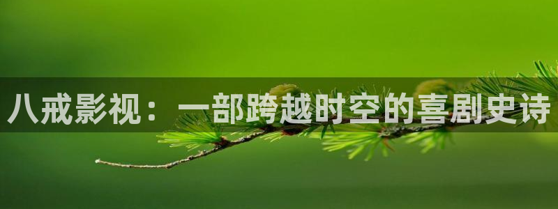 牛午夜电影