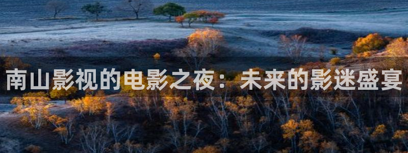 午夜免费电影一区二区