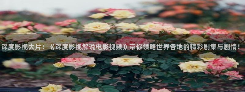午夜av黄色