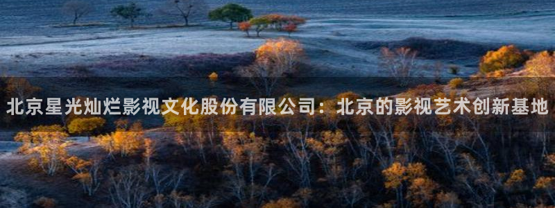蜜桃视频午夜影院