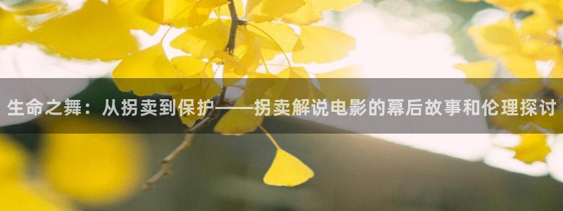 午夜av一级高清内射