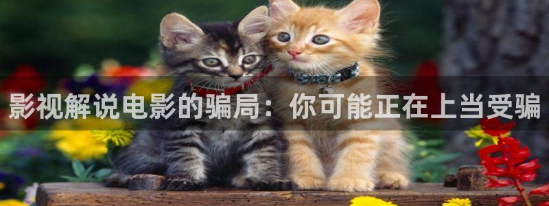 神马影院午夜影院在线观看