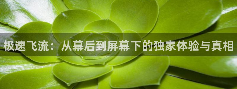 yy6080午夜理伦大片一级