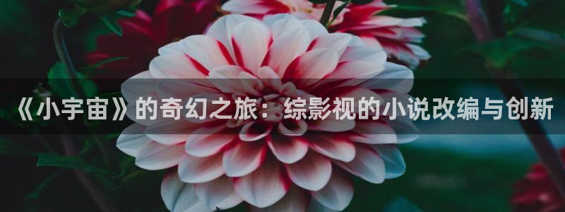 182tv在线观看午夜